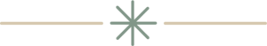 Asterisk Divider - Precision Educational Diagnostics
